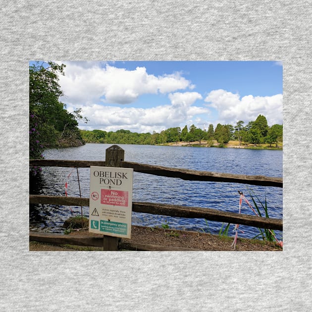 Obelisk pond at Virginia Water by fantastic-designs